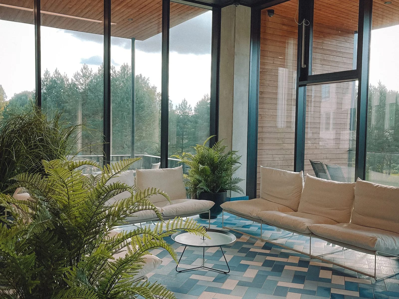 A calm, daylit waiting area with low seating, ferns and full-height windows onto trees.